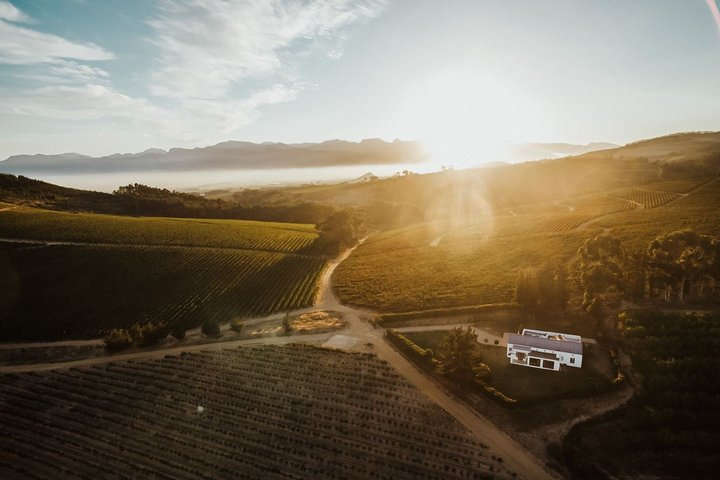 Splendour in the Winelands - Private Tour - Photo 1 of 5